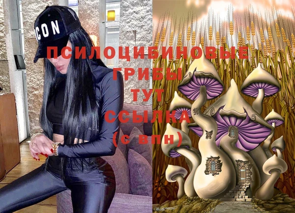 a pvp Балахна